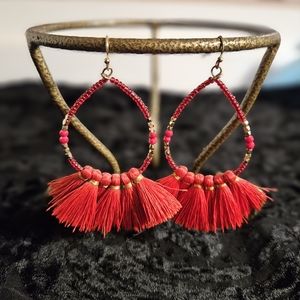 Beautiful Seed Bead and Tassel Dangle Earrings